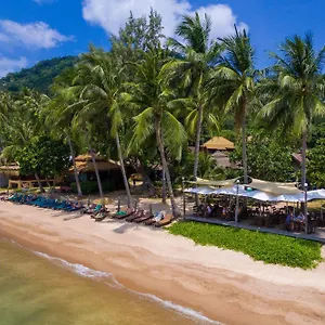 Palm Leaf Thailand